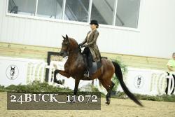 24BUCK_11072 thumbnail