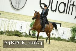 24BUCK_11073 thumbnail