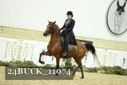 24BUCK_11074 thumbnail