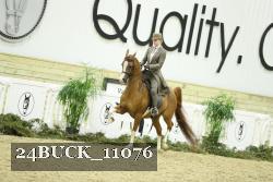 24BUCK_11076 thumbnail