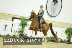 24BUCK_11078 thumbnail