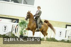 24BUCK_11079 thumbnail