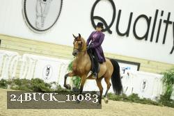 24BUCK_11083 thumbnail