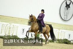 24BUCK_11084 thumbnail