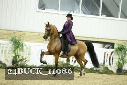24BUCK_11086 thumbnail