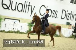 24BUCK_11088 thumbnail