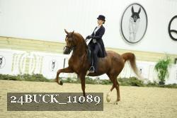24BUCK_11089 thumbnail
