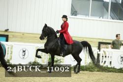24BUCK_11092 thumbnail