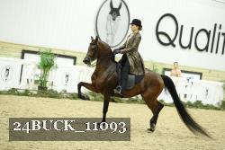 24BUCK_11093 thumbnail