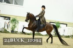 24BUCK_11094 thumbnail