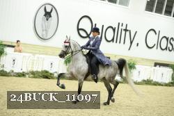 24BUCK_11097 thumbnail