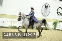 24BUCK_11098 thumbnail
