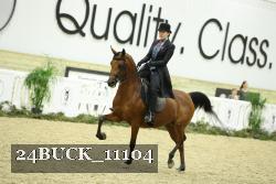 24BUCK_11104 thumbnail