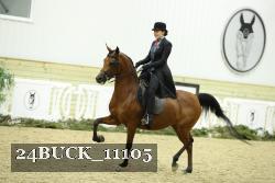 24BUCK_11105 thumbnail