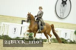 24BUCK_11107 thumbnail
