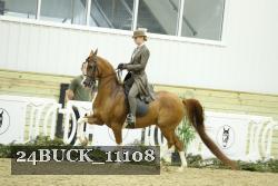 24BUCK_11108 thumbnail