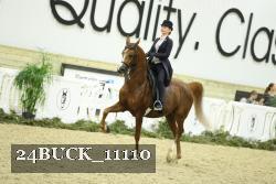 24BUCK_11110 thumbnail