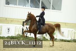 24BUCK_11112 thumbnail