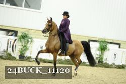 24BUCK_11120 thumbnail