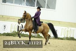 24BUCK_11121 thumbnail