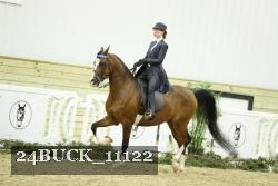 24BUCK_11122 thumbnail