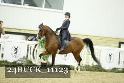 24BUCK_11123 thumbnail