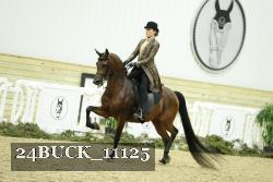 24BUCK_11125 thumbnail