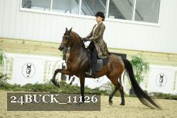 24BUCK_11126 thumbnail