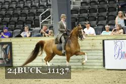 24BUCK_11137 thumbnail