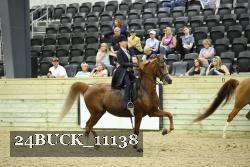 24BUCK_11138 thumbnail