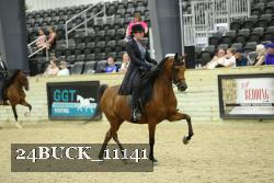 24BUCK_11141 thumbnail