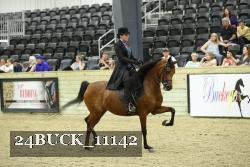 24BUCK_11142 thumbnail