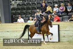 24BUCK_11146 thumbnail