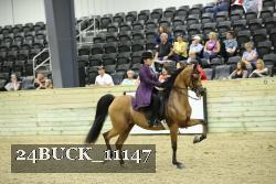24BUCK_11147 thumbnail