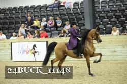 24BUCK_11148 thumbnail