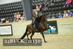24BUCK_11150 thumbnail