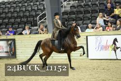 24BUCK_11152 thumbnail