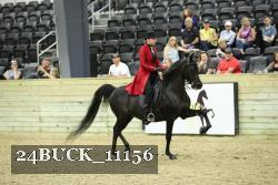 24BUCK_11156 thumbnail