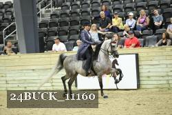 24BUCK_11160 thumbnail