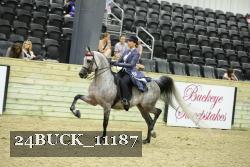 24BUCK_11187 thumbnail