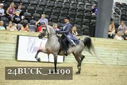 24BUCK_11190 thumbnail