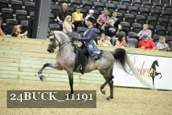 24BUCK_11191 thumbnail