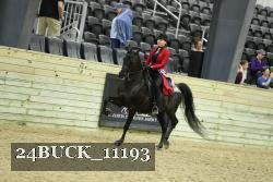 24BUCK_11193 thumbnail