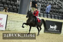 24BUCK_11194 thumbnail