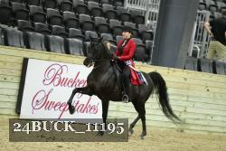 24BUCK_11195 thumbnail