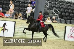 24BUCK_11199 thumbnail