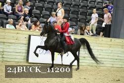 24BUCK_11200 thumbnail