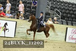 24BUCK_11202 thumbnail