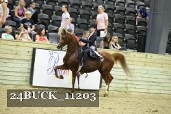 24BUCK_11203 thumbnail