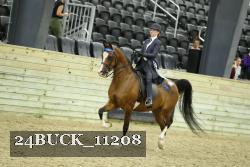 24BUCK_11208 thumbnail